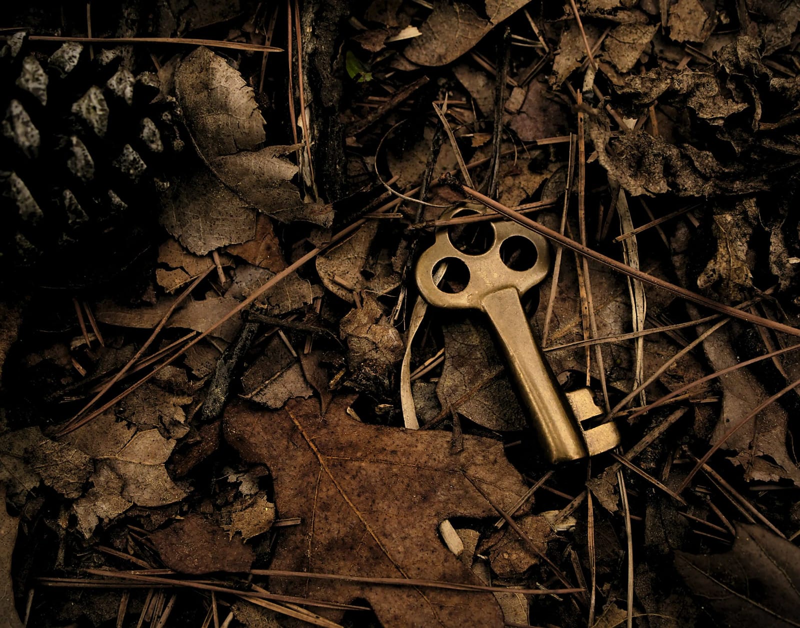 The Golden Key of Shamatha: My Experience with B. Alan Wallace post image